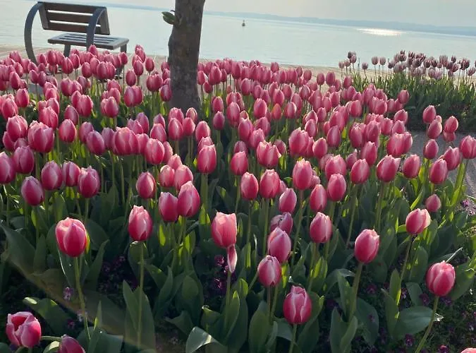 Appartement Vanti Al Garda *