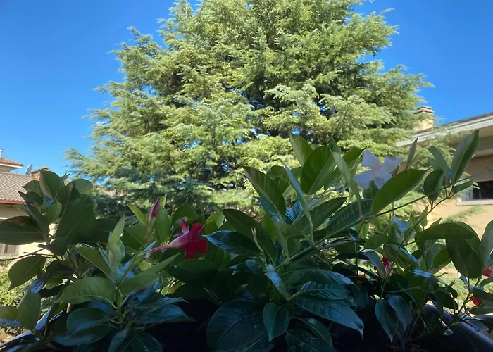 Vanti Al Garda Appartement