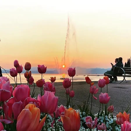 公寓 Vanti Al Garda 巴多利诺