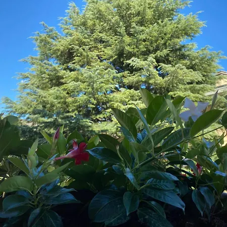 Vanti Al Garda Apartment