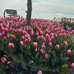 شقة Vanti Al Garda *