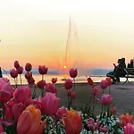 شقة Vanti Al Garda باردولينو